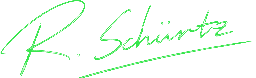 Randy Schürtz signature